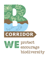 B Corridor
