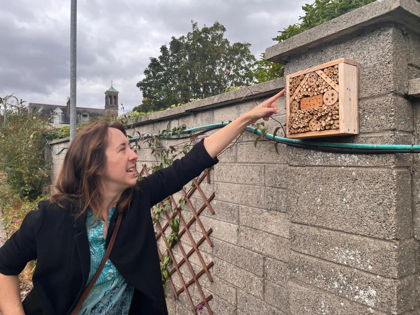 Wild Bee Festival 2026: The weekend the bees made our case